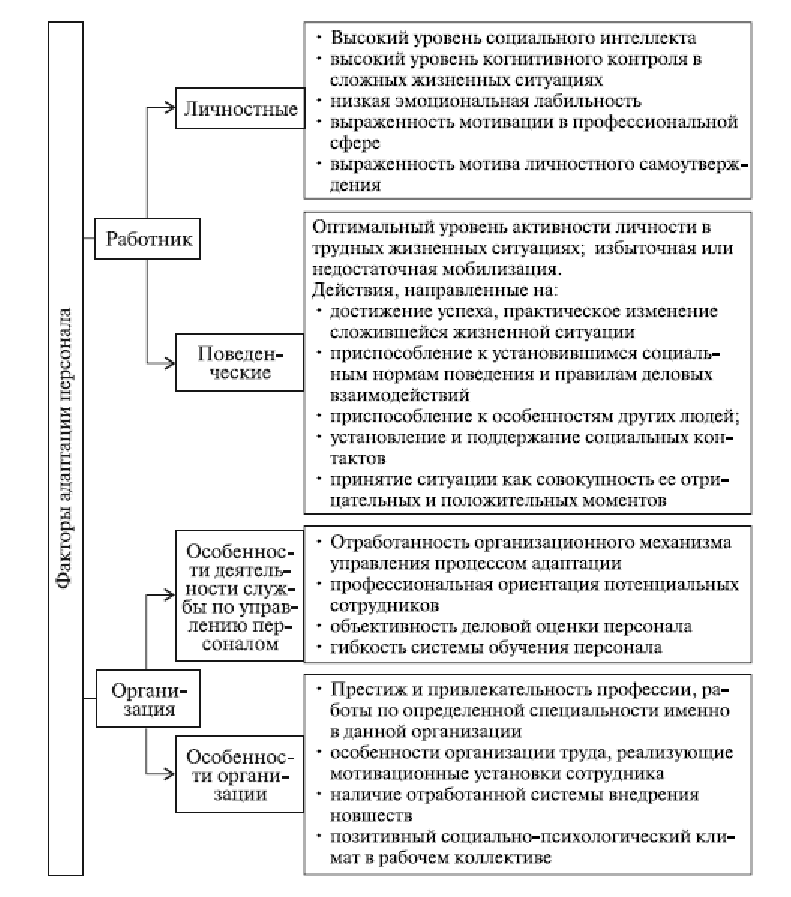 Поведение как процесс адаптации. Факторы профессиональной адаптации. Схема процесса адаптации сотрудников. Процесс профессиональной адаптации персонала в организации. Классификация видов адаптации.