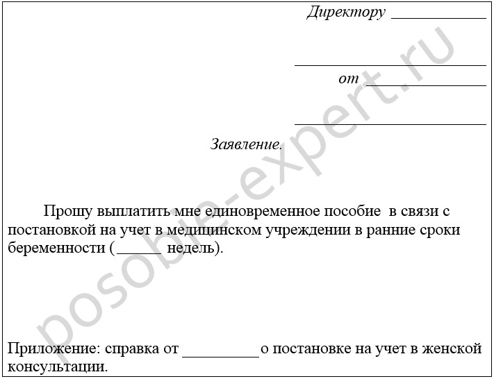 Образец заявления на единовременное пособие по беременности и родам