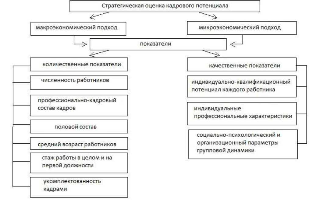 Формы кадрового потенциала