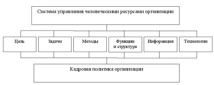 ris1-1