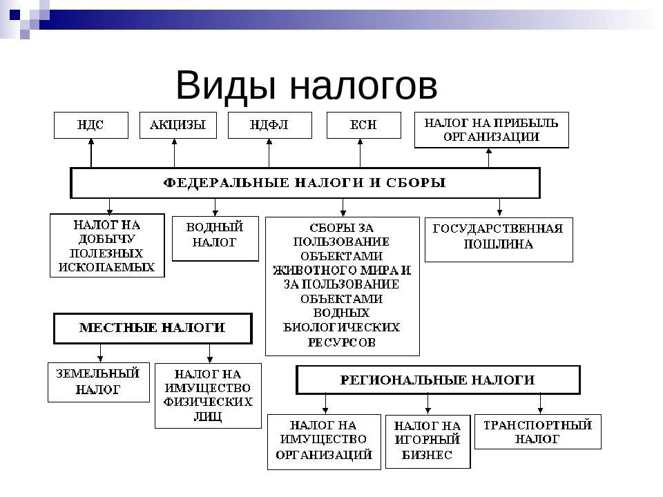 Проект ндс пример