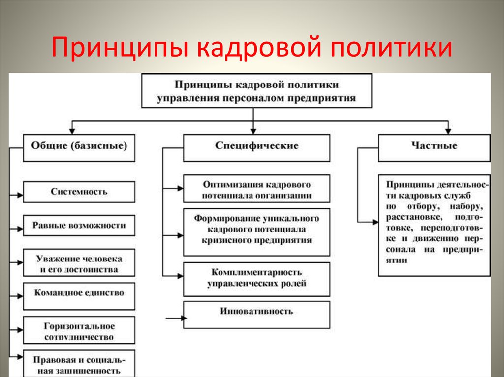 ÐÑÐ¸Ð½ÑÐ¸Ð¿Ñ ÐºÐ°Ð´ÑÐ¾Ð²Ð¾Ð¹ Ð¿Ð¾Ð»Ð¸ÑÐ¸ÐºÐ¸