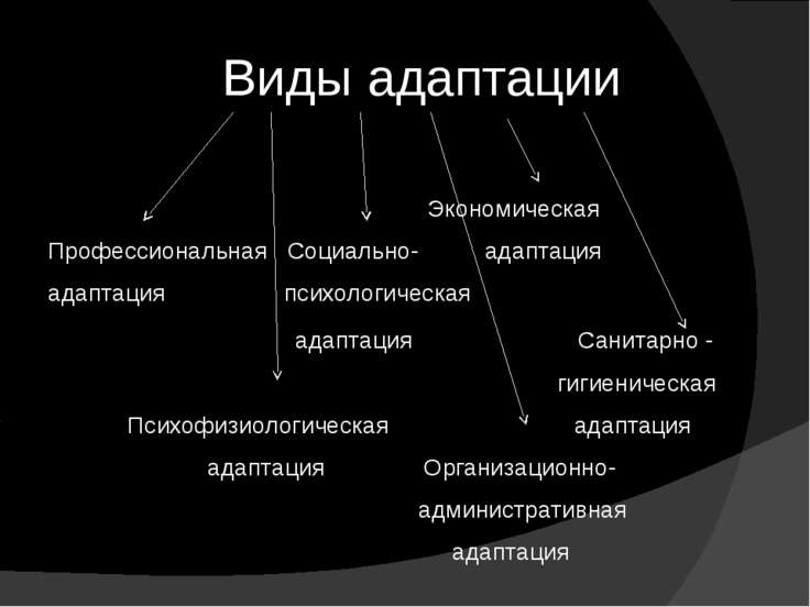 виды адаптации персонала