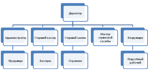 Организационная структура магазина ООО "Спортмастер"