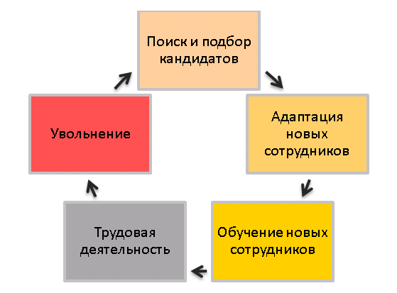 Цикл движения персонала на предприятии