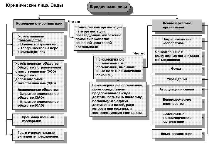 Виды юридических лиц