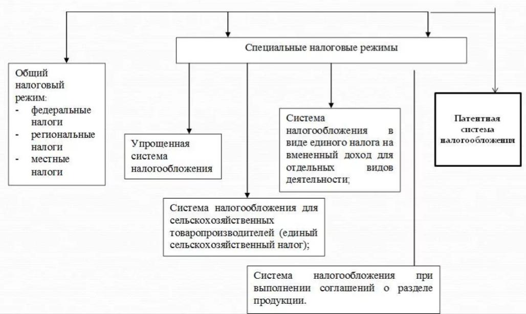 Виды налогов в рф схема