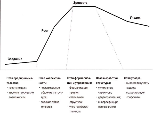 Рисунок жизненный цикл организации