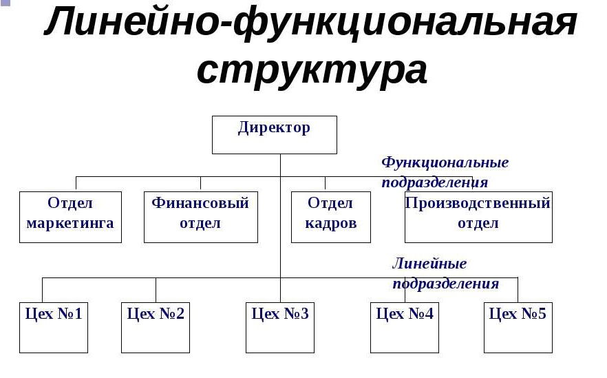 Схема функциональной структуры управления предприятием