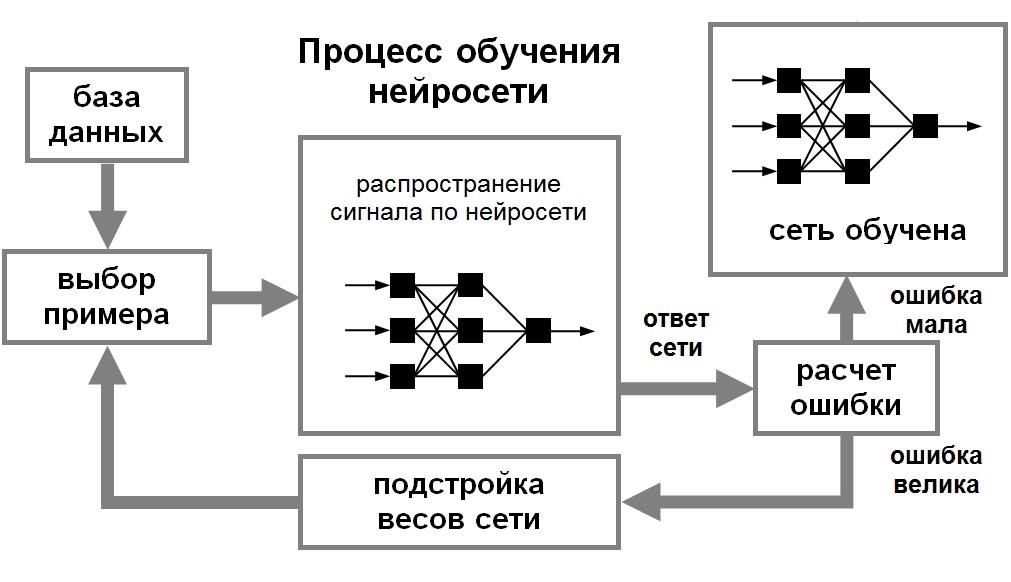 Процесс обучения нейронной сети