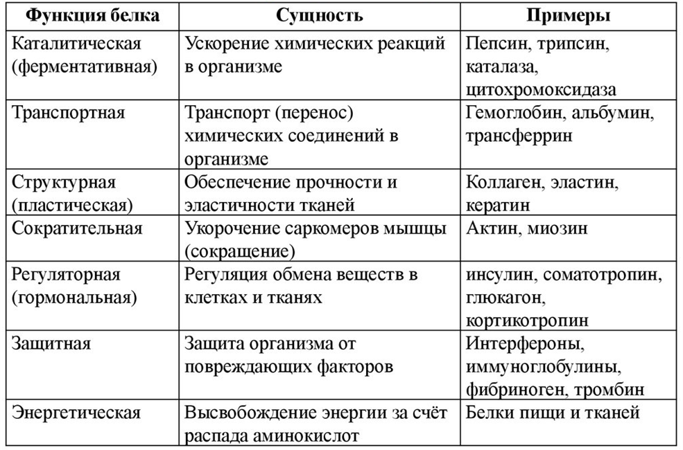 Курсовая работа: Свободные аминокислоты нервной системы