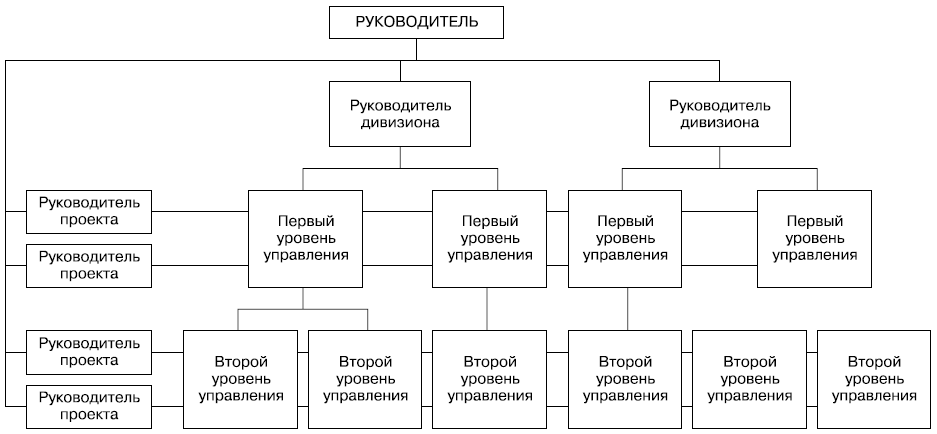 Программно-целевая организационная структура управления компанией