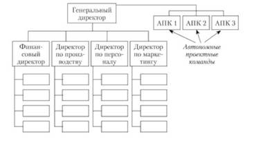 Проектная организационная структура