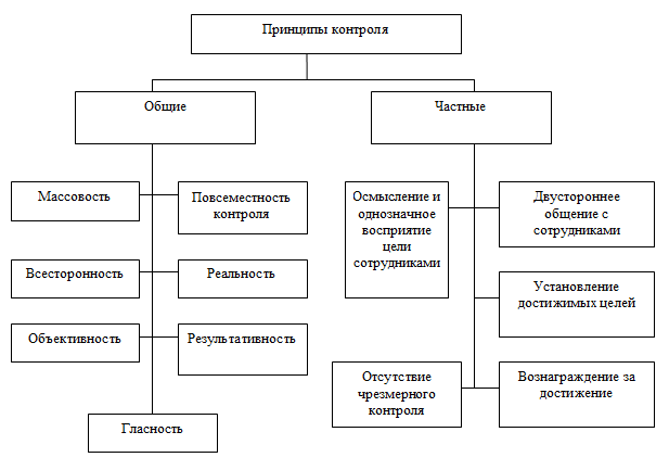 Виды и принципы контроля в системе муниципального управления