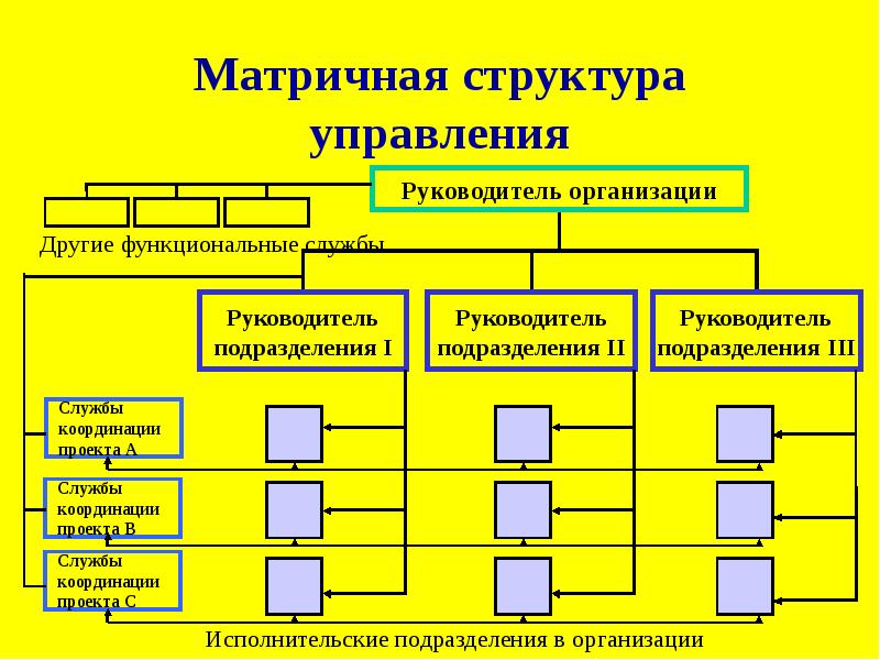 Руководитель проекта относится к