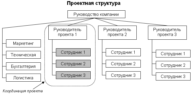 Проектная структура управления схема