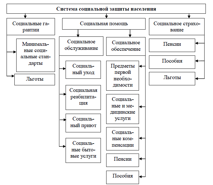 Система социальной защиты населения субъекты. Структура социальной защиты. Система социальной защиты населения.