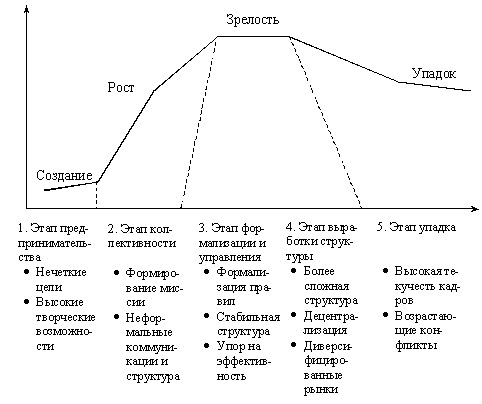 Жизненный цикл организации