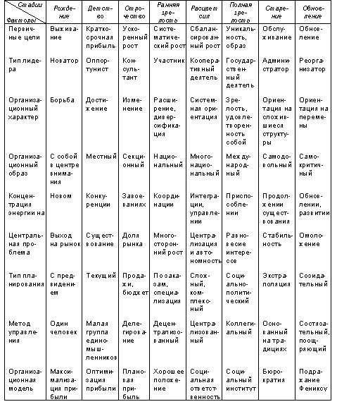 Стадии жизненного цикла организации