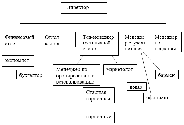 Организационно функциональная схема