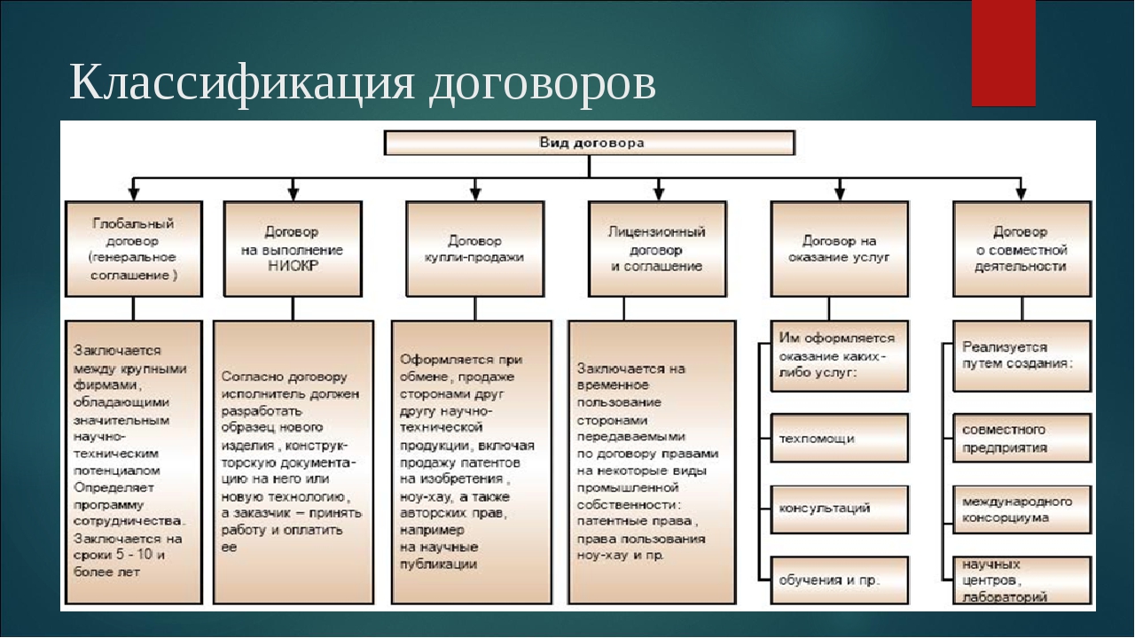 Два проекта договоров