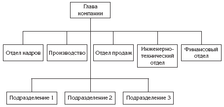 Дивизионально продуктовая структура схема