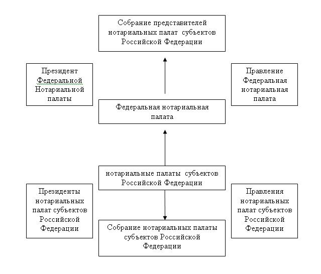 Нотариальные действия в семейном праве схема