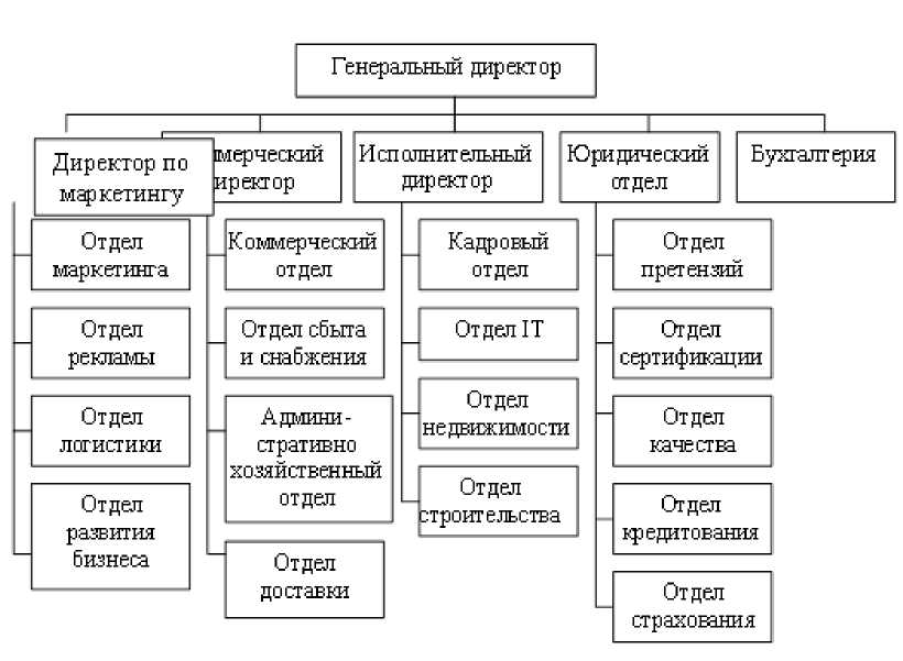 2 1 характеристика компании. Организационная структура предприятия схема на примере. Организационная структура предприятия Мвидео. Схема организационной структуры предприятия Эльдорадо. Организационная структура предприятия ООО образец схема с описанием.