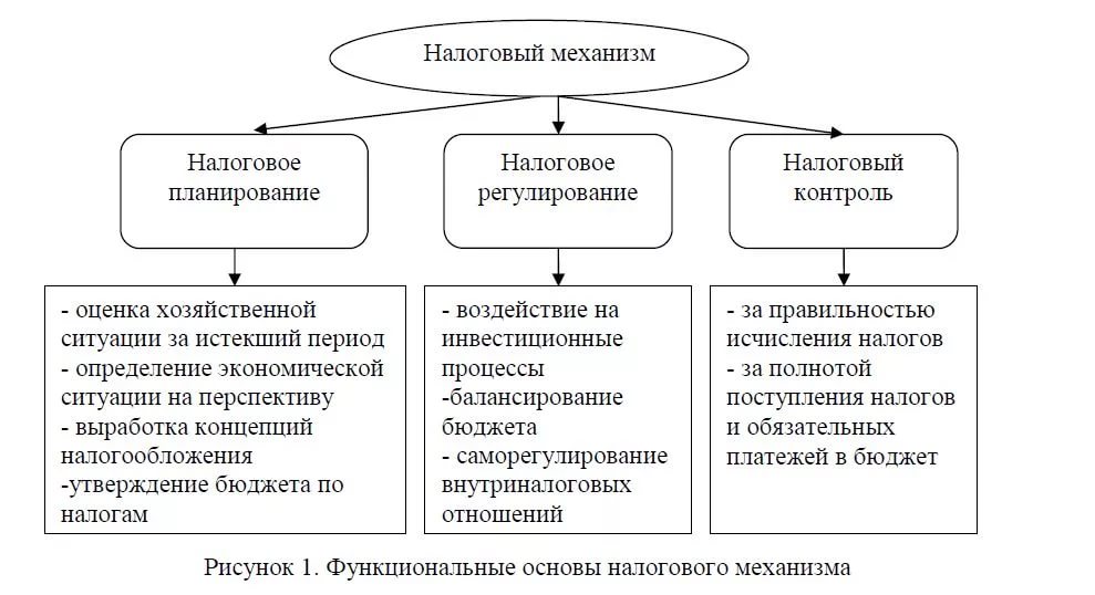 Планы задания направленные на реализацию фискальной функции определяют