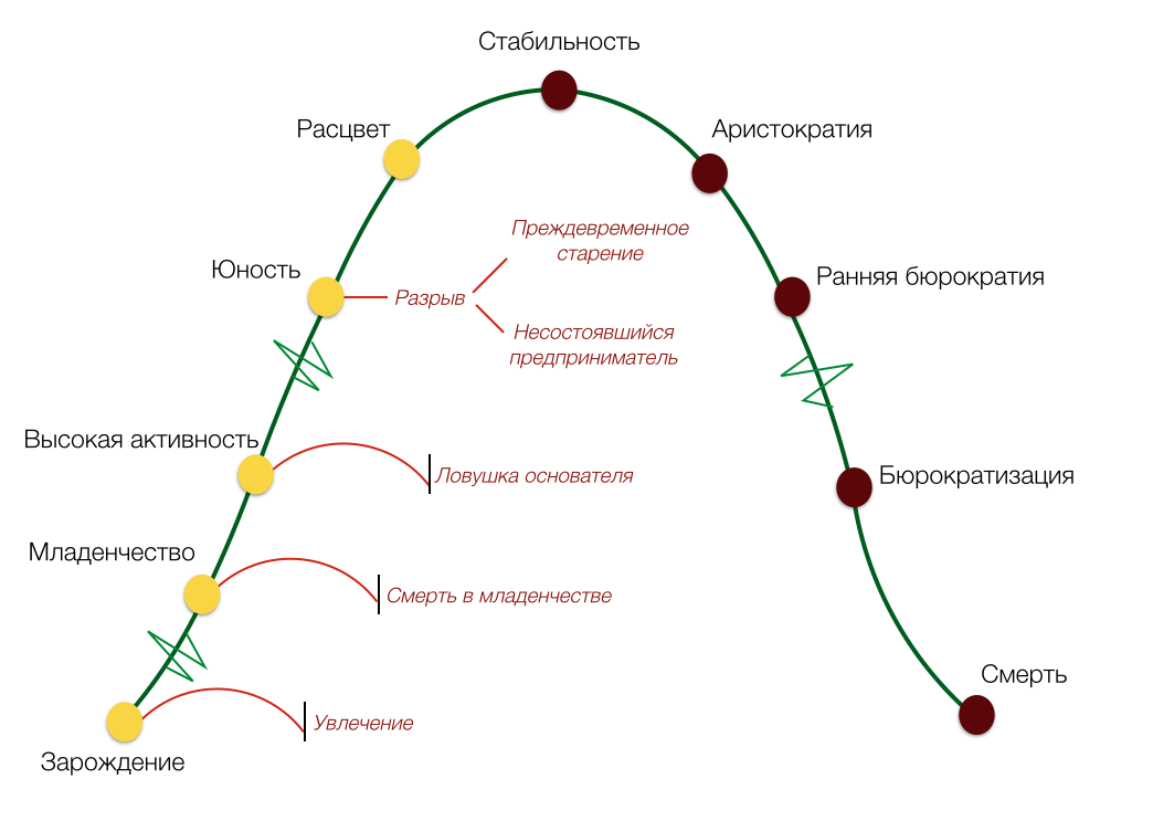 adizes-olc-model