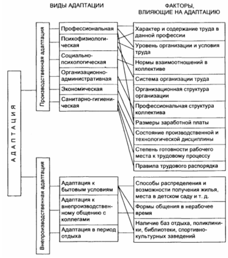 C:\Users\семья\Desktop\sovershenstvovanie-adaptacii-personala-v-organizacii-1.png