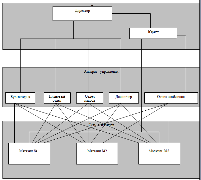 Схема организационной структуры предприятия магнит