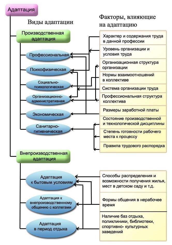 Схема классификации адаптаций