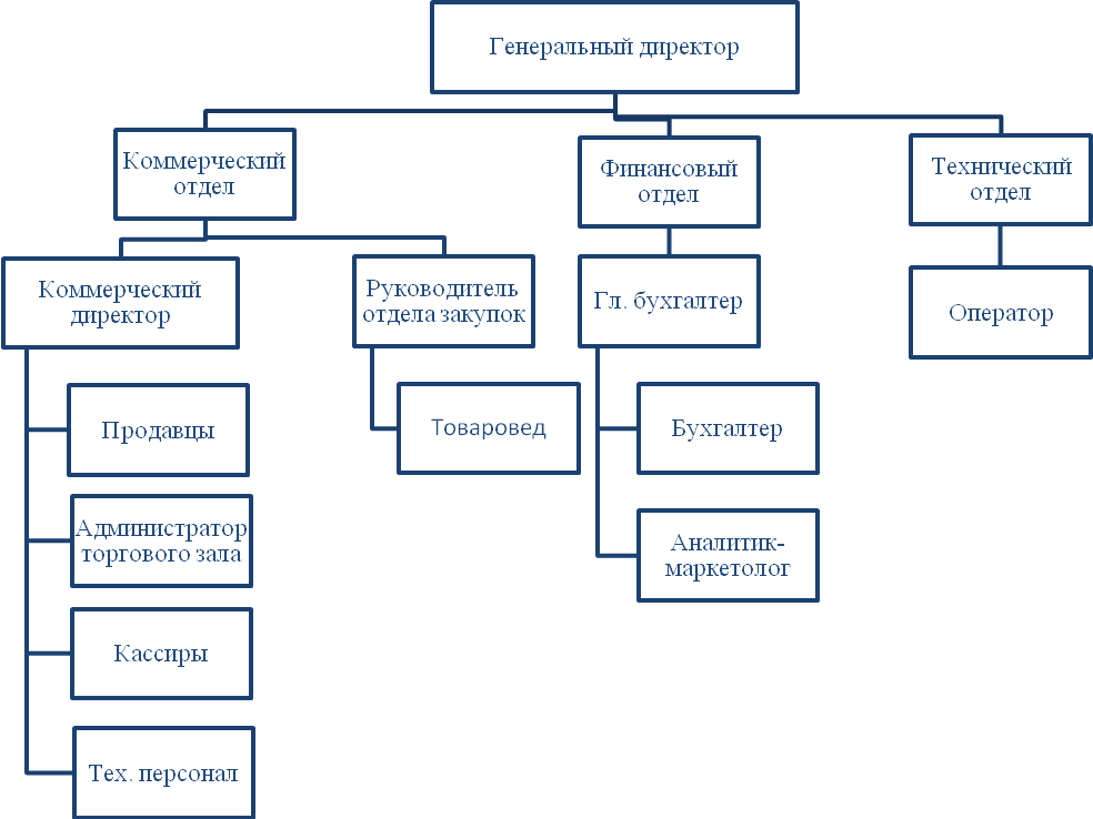 Виды директоров ооо. Схема организационной структуры управления предприятия торговли. Схема управления коммерческой службы предприятия розничной торговли. Структура управления ООО Агроторг схема. Организационная структура розничной торговой компании схема.