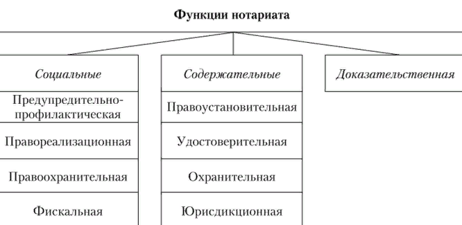 Структура нотариата схема