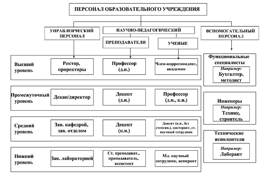 Ауп вуз. Учебно-вспомогательный персонал вуза это. Состав персонала университета. Категории персонала в университете. Структура персонала в учебных заведениях.