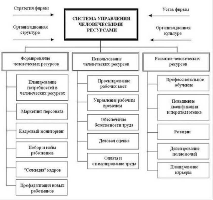 Управленческие ресурсы. Структура управления человеческими ресурсами в организации. Схему управления человеческими ресурсами организации. Система управления персоналом и человеческими ресурсами схема. Организационная структура управления человеческими ресурсами схема.