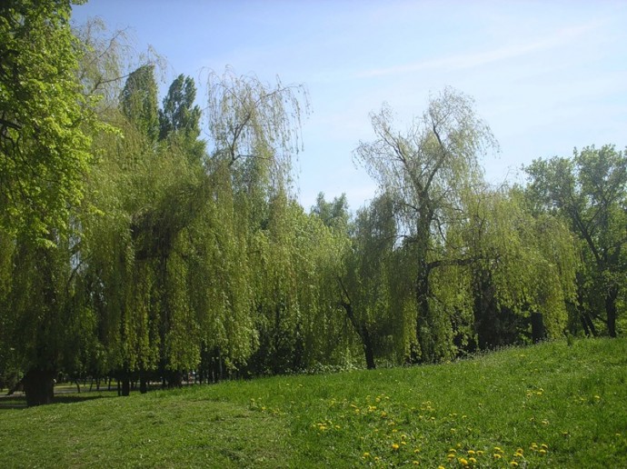 Природа Белгородской области