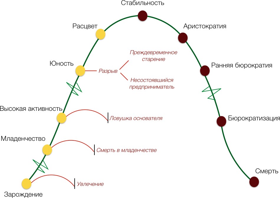 Концепции Стиля Жизни