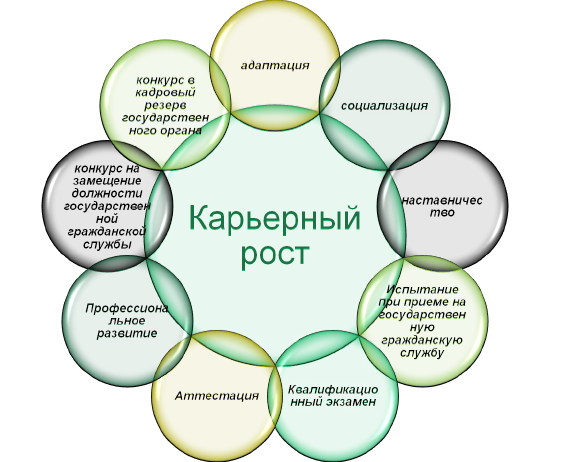 Служба роста. Карьерный рост на государственной службе. Карьера государственного служащего. Построение карьеры государственного служащего. Управление карьерой государственного служащего.