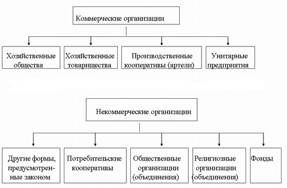 Виды коммерческих юридических лиц схема