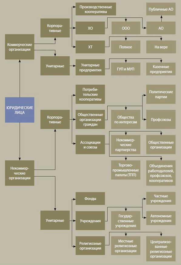 Виды предприятий схема