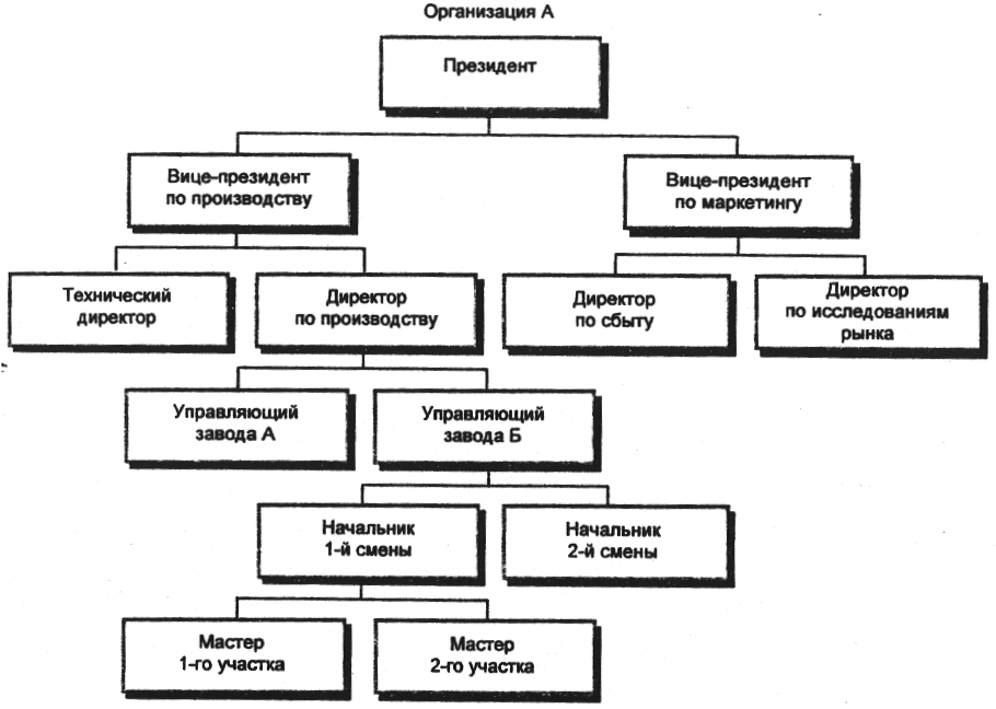 Построение организационной структуры