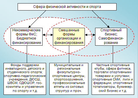 Рис.1. Структура и состав физкультурно-спортивной отрасли, подразделенной по принципу финансирования.