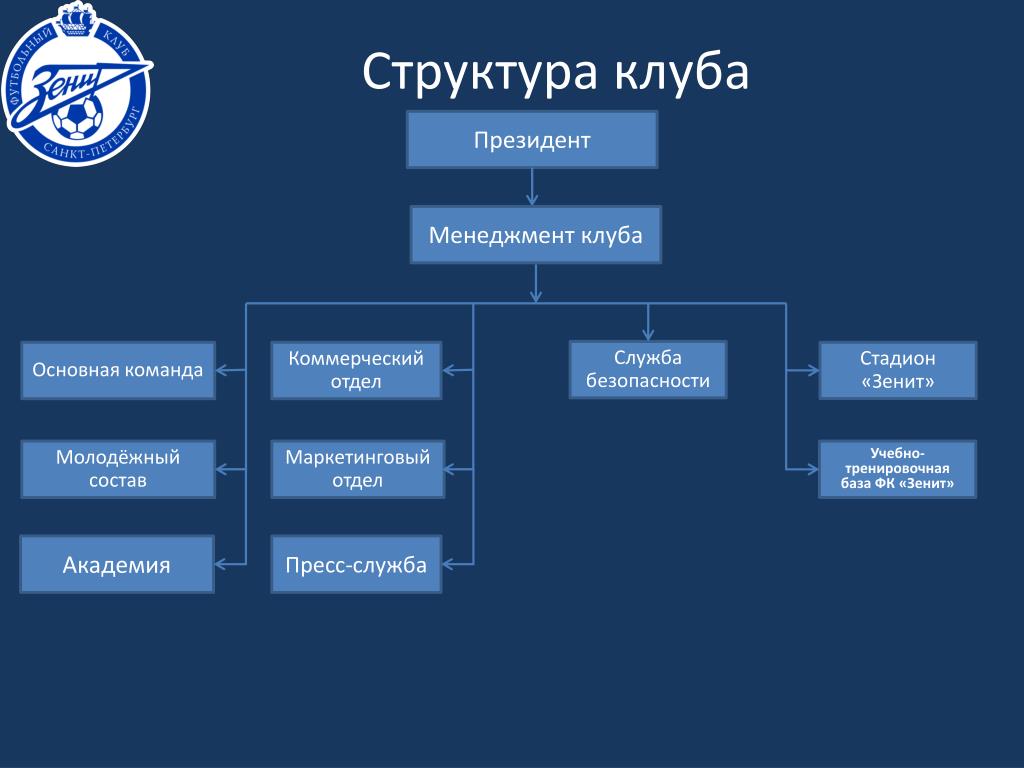 Организационная структура команды проекта