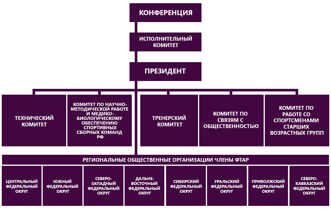 Организация деятельности исполнительного комитета. Организационная структура Федерации по виду спорта. Организационная структура Федерации спорта. Структура Федерации хоккея России. Схема структуры Федерации по легкой атлетике.