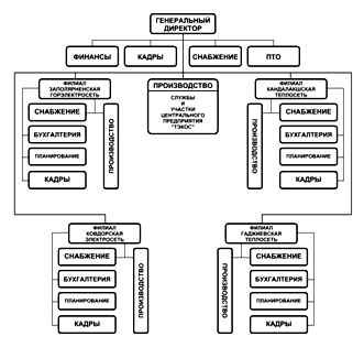 Дивизиональная структура предприятия «ТЭКОС» после 2006 г