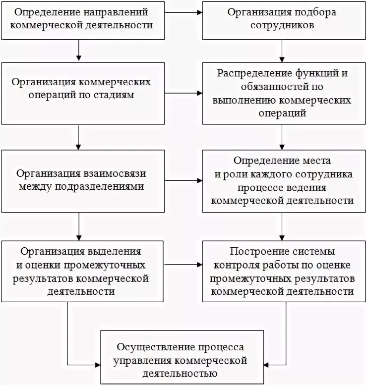 Торговые направления. Функции управление коммерческой деятельностью. Схема организация коммерческой деятельности. Функции коммерческой деятельности схема. Направления коммерческой деятельности торгового предприятия.