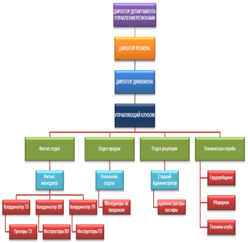 Организационная структура фитнес клуба схема