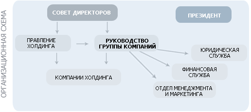 организационная схема структуры холдинга